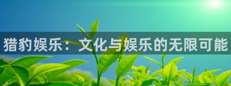 sunbet申搏888：猎豹娱乐：文化与娱乐的无限可能
