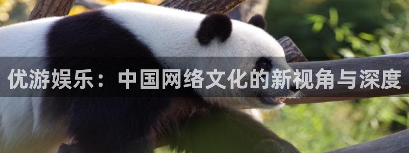 申慱sunbet手机版登管理网：优游娱乐：中国网络文化的新视角与深度