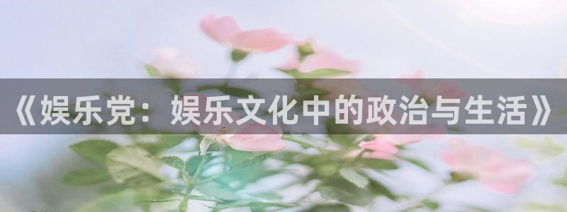 sunbet官网：《娱乐党：娱乐文化中的政治与生活》