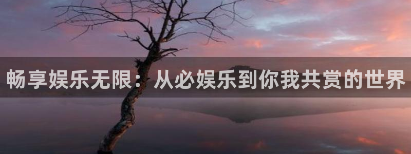 sunbet官网：畅享娱乐无限：从必娱乐到你我共赏的世界