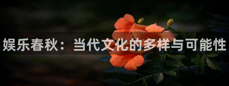 申慱sunbet苹果app：娱乐春秋：当代文化的多样与可能性