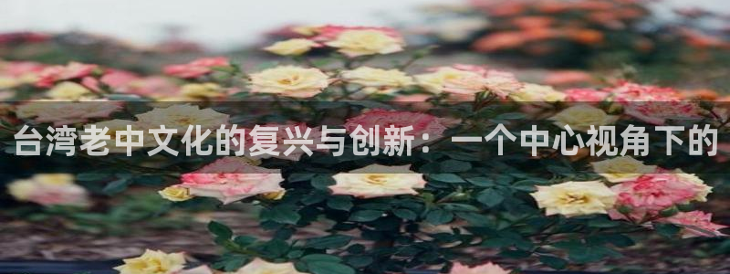 申搏sunbet官网手机版：台湾老中文化的复兴与创新：一个中心视角下的