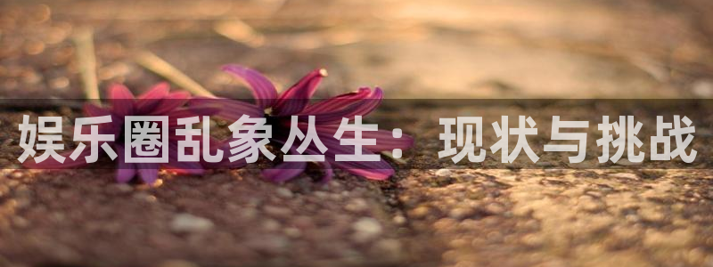 sunbet申搏888：娱乐圈乱象丛生：现状与挑战