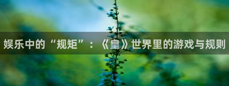 sunbet申搏：娱乐中的“规矩”：《皇》世界里的游戏与规则