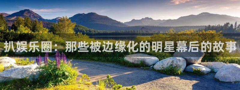 sunbet申搏：扒娱乐圈：那些被边缘化的明星幕后的故事