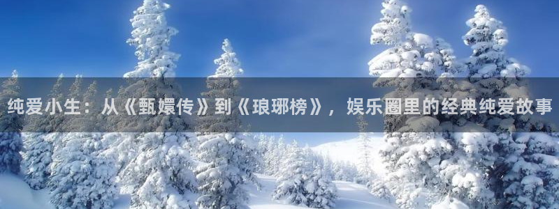 申搏sunbet官网手机版：纯爱小生：从《甄嬛传》到《琅琊榜》，娱乐圈里的经典纯爱故事
