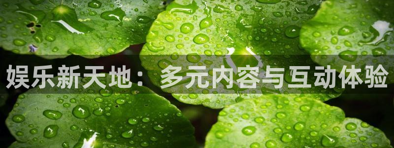 sunbet申搏888：娱乐新天地：多元内容与互动体验